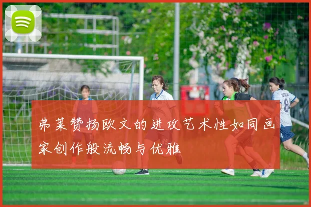 弗莱赞扬欧文的进攻艺术性如同画家创作般流畅与优雅
